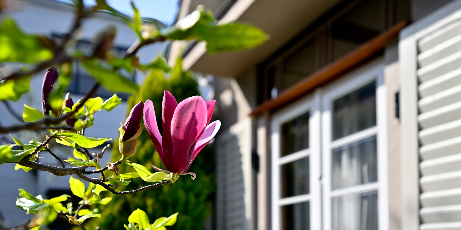 北九州でリノベーションならKiTaku design　設計料